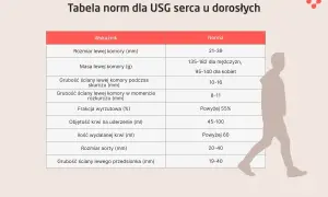 Tabela norm dla USG serca. Wskaźniki takie jak rozmiar lewej komory, masa, grubość ścian, frakcja wyrzutowa i objętość krwi na uderzenie pomagają ocenić echo serca.