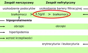 Schemat porównuje zespół nerczycowy i nefrytyczny, wskazując na białkomocz (>3,5g/d) jako kluczowy objaw.