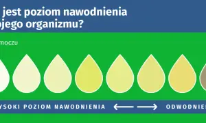 Kolor moczu od jasnego do ciemnego wskazuje na poziom nawodnienia organizmu. Jasny kolor to wysokie nawodnienie, ciemny to odwodnienie.