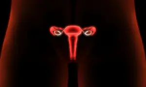 Anatomia kobiecych narządów rozrodczych w czerwonym świetle. Może to być wizualizacja wpływu estrofem na cykl.