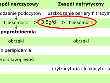Schemat porównuje zespół nerczycowy i nefrytyczny, wskazując na białkomocz (>3,5g/d) jako kluczowy objaw.