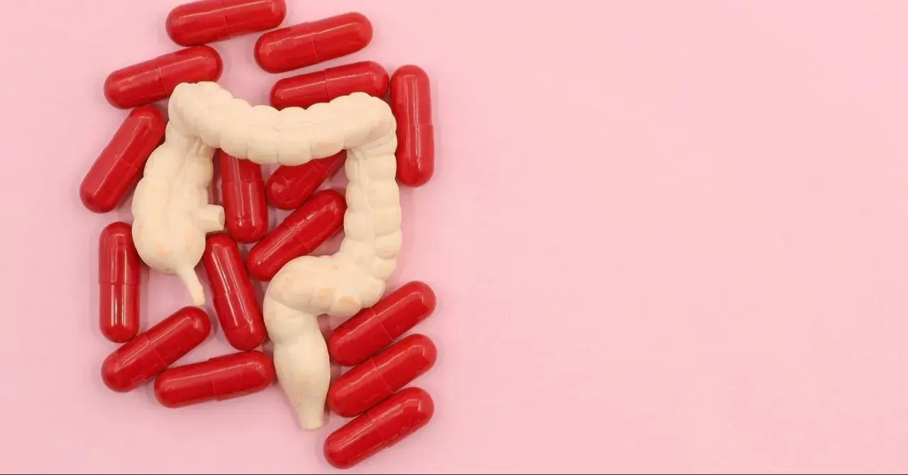 Model jelita otoczony czerwonymi kapsułkami. Może to symbolizować leczenie problemów z jelitami, jak np. preparaty asamax.