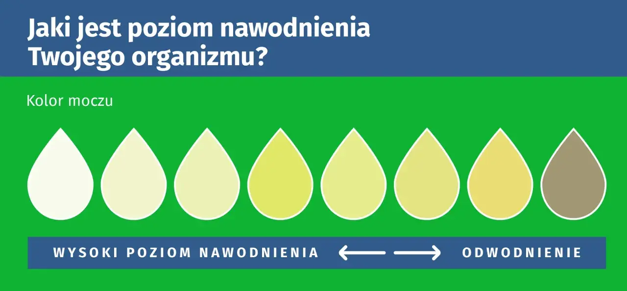 Kolor moczu od jasnego do ciemnego wskazuje na poziom nawodnienia organizmu. Jasny kolor to wysokie nawodnienie, ciemny to odwodnienie.