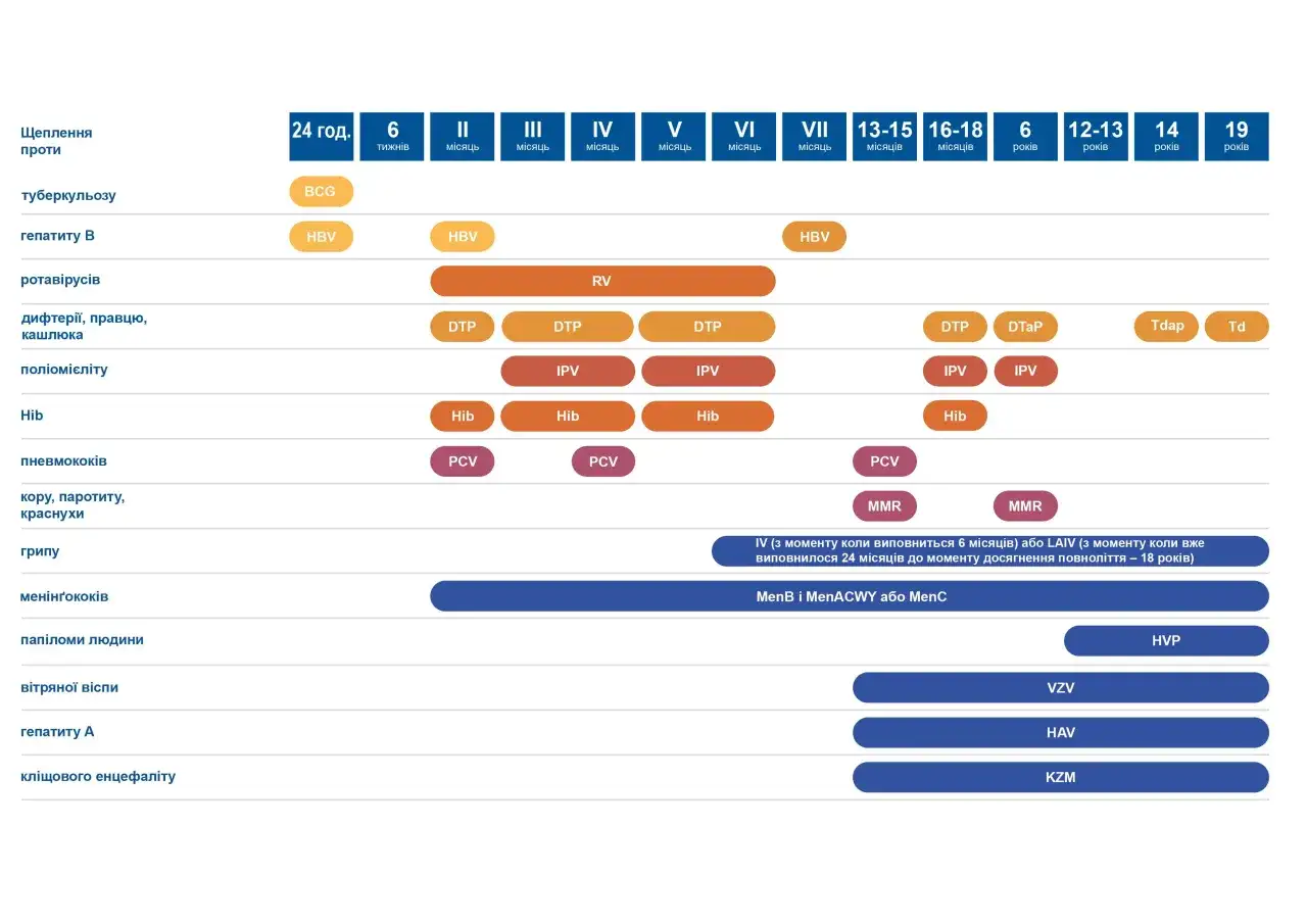 Kalendarz szczepień: BCG, HBV, RV, DTP, IPV, Hib, PCV, MMR, VZV, HAV, KZM, HVP.